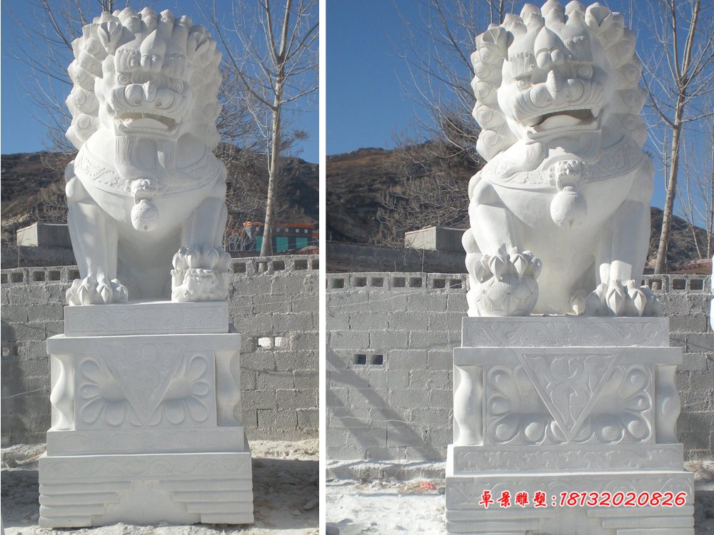 3米高石頭獅子，石雕獅子雕塑