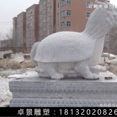 龍龜石雕，漢白玉龍龜?shù)袼? width=