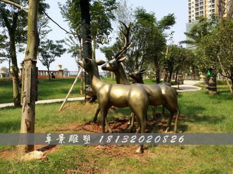 梅花鹿銅雕，公園動(dòng)物銅雕 (2)