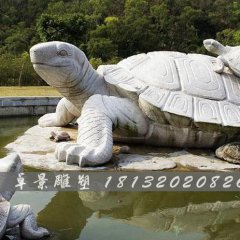 烏龜石雕，漢白玉烏龜?shù)袼? width=