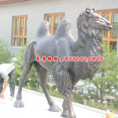 銅雕駱駝，公園動(dòng)物銅雕