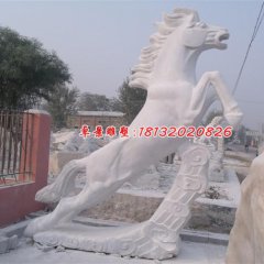 石雕馬，漢白玉馬雕塑，馬踏祥云石雕