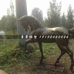 馬銅雕，公園動物銅雕