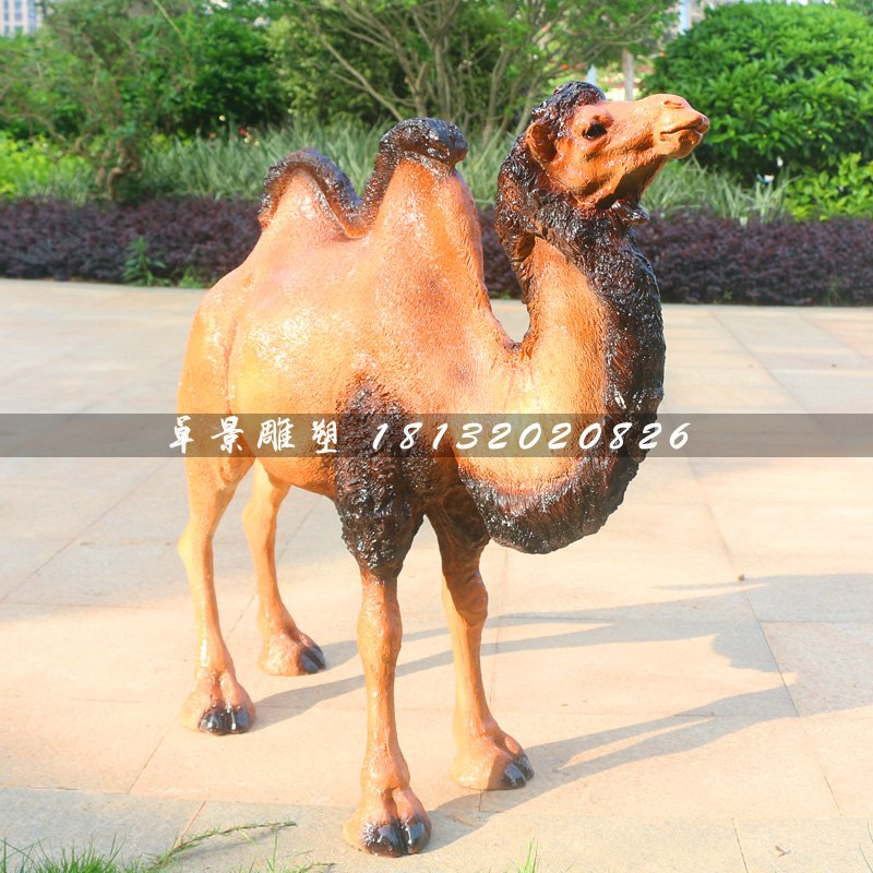 駱駝雕塑，動物玻璃鋼動物 (3)
