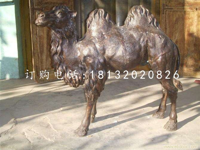 公園駱駝銅雕，動物銅雕 (2)