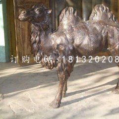 公園駱駝銅雕，動(dòng)物銅雕