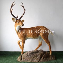 玻璃鋼梅花鹿，公園仿真動(dòng)物