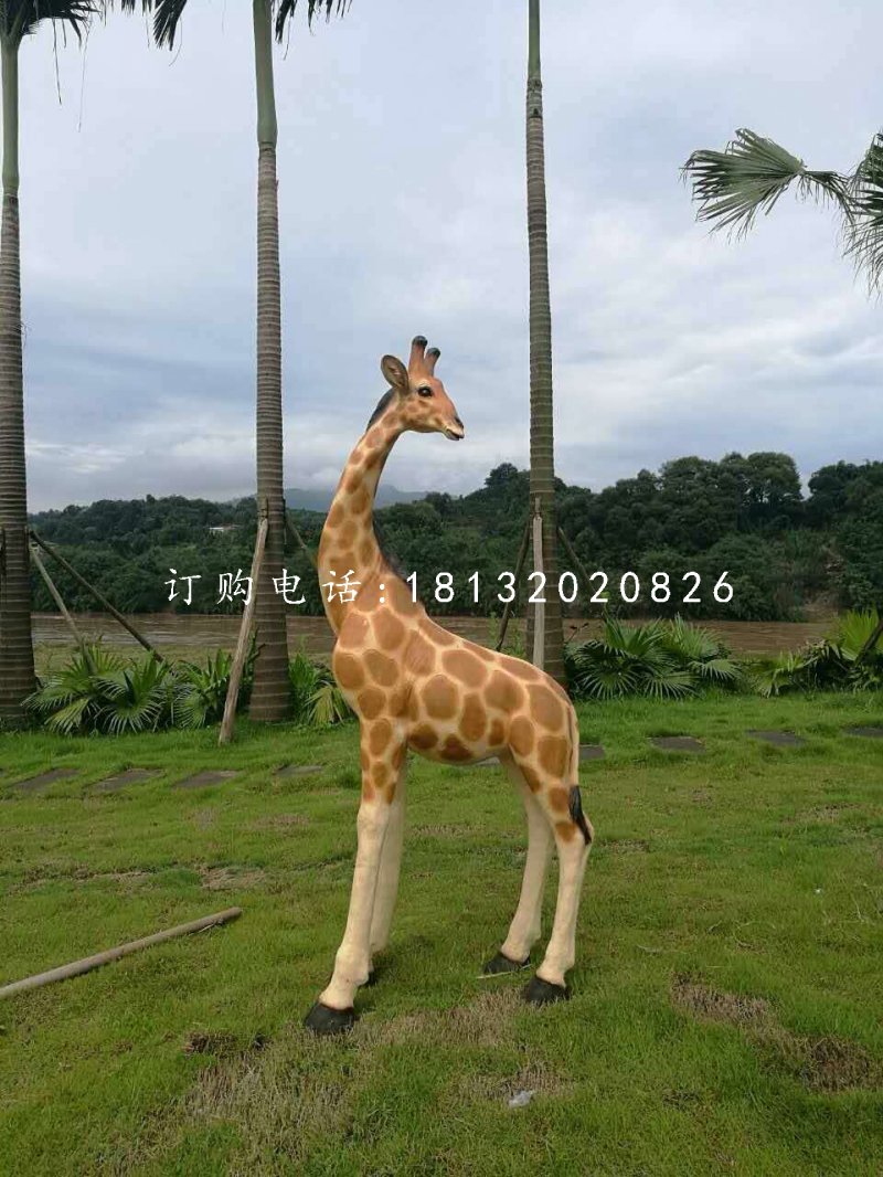 公園長(zhǎng)頸鹿雕塑，玻璃鋼動(dòng)物 (1)