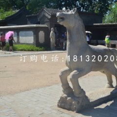 小馬石雕，公園動物石雕