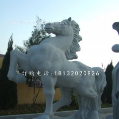 石雕馬，廣場動物石雕