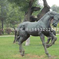 公園馬雕塑，銅雕馬
